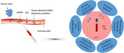 Frontiers | Clinical Applications Of Liquid Biopsy In Gastric Cancer